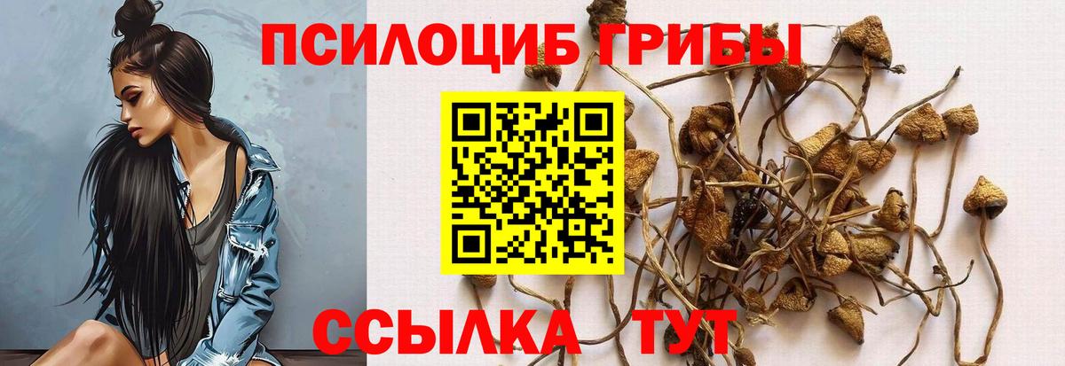 Псилоцибиновые грибы мухоморы  Вход с VPN  Сердобск  Псилоцибиновые грибы MAGIC MUSHROOMS 